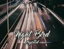 Night Bird(Ez2AC:NT)