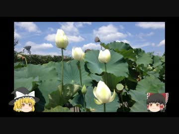 そこに水槽があるからだ　3　滋賀県草津市みずのもり　琵琶湖博物館