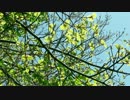 Test20-720-3425