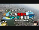 【ゆっくり】クルーズ旅行記　３　伊丹空港→羽田空港