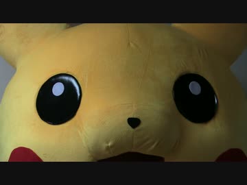 【安定感企画】最初の１匹を猫が選んだ【ポケモンサンムーン】