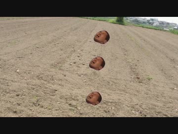 じゃがいも農園