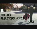 「ルリコ」Shelterを歌ってみた
