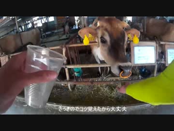 鈴菌が行くゆっくりバイク動画(牧歌の里後編)