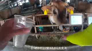 鈴菌が行くゆっくりバイク動画(牧歌の里後編)