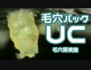 大物角栓に完全勝利した毛穴パックUC