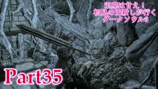 【実況】玉座は甘え！初見の王殺しが行くダークソウル3【DarkSoulsIII】part35