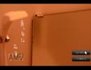 【混沌実況】 女2人で家出した右目を探しに行く part1