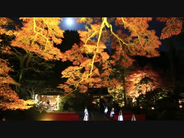 紅葉の京都（2016/11/13）