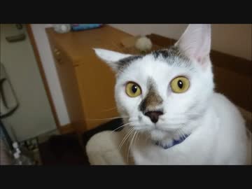 生後半年が過ぎました