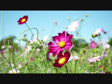 ひとりでとことこツーリング15　～鹿児島市都市農業センター～