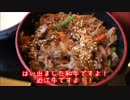 【名神高速】憧憬の路と聖地巡礼に行った動画⑫【高速道グルメ】