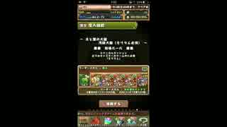 人気の パズドラ ゲーム 動画 5 633本 22 ニコニコ動画