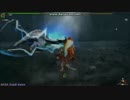 【MHF-Z】GR800　辿異種フルフル　ハンマーソロ9ラスタ
