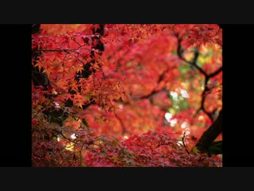 【オリジナル】暮れない世界【和風ピアノ】