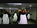 【第10回謎素材合作支援】Vault That Penguinline!【疑似m＠s】