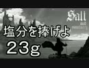 【ゆっくり】塩分を捧げよ 23g【Salt and Sanctuary】