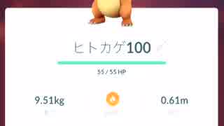 個体値100％のヒトカゲを進化させてみた