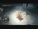 その辺の呪術師の侵入23