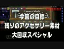 伝説のアイテムを求めて…！Terraria実況　part8 前編