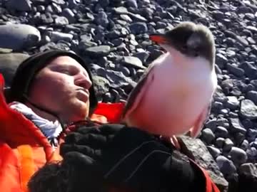 ペンギンさん…む…胸が あたってるんですけど