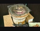 北海道激安ツアーに行ってきた　④（大沼国定公園～函館～帰宅編）