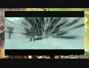 【Wii】トワイライトプリンセス バグなし聖剣後RTA 2:54:52 part2