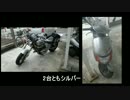 HONDA V-TWIN MAGNA Motovlog #006 愛車レッツ２