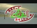 道民だって北海道を満喫したい～雪だるまリベンジ～ 失敗
