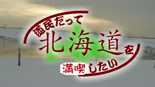 道民だって北海道を満喫したい～雪だるまリベンジ～ 失敗