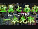 【バトスピ】STAR BATTLE ネルvsニコ part2【ふりーたいむ】