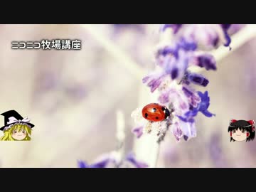 【牧場物語】リアルでもゲームでも牧場part51.5【ゆっくり実況】