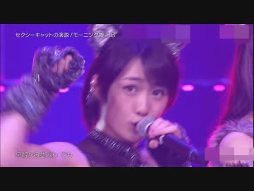 『セクシーキャットの演説』Studio Live