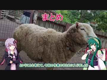 ヘッドライトの黄ばみを落としてみた