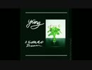 Yung - Uncombed Hair