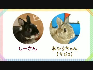 うさぎのまるくん一家（6）しーさんとちび2 かくれんぼをする