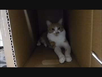 「虐待やめなよ」と言われましたが・・