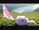 【画質改善版】憧憬の路と聖地巡礼に行った動画⑮【絶景の聖地】