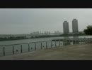 ポケモンGO　お台場海浜公園。