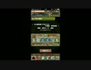 【パズドラ】火の護神龍　超地獄級