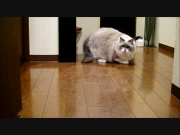 廊下でダンシング