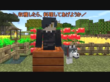 【刀剣乱舞】大豆を収穫しながら兄様がコメ返【minecraft】