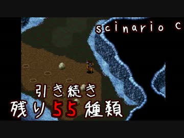 未来に向けて頑張りがちな動物探索実況【リンダキューブアゲイン】 #45