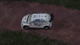 WRC4 そこそこドライバーがWRC全戦優勝を狙ってみた第4戦 SS5
