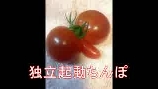 珍宝記　第2ちん「独立起動ちんぽ」