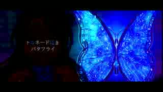 AYAKA BUTTERFLY