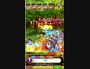 黒猫のウィズ・レイド修練覇を浦賀なしで２Ｔクリアしてみた