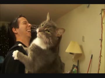 猫「もっとなめさせるニャ！」 ペロペロなめるのが大好きな猫！w