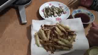 そうだ！釣りに行こう！～ワカサギ～