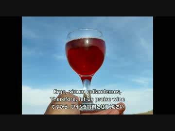 Ave color vini clari 「ようこそ、澄んだ色のワイン」